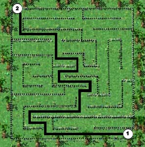 Blue Kitty Maze