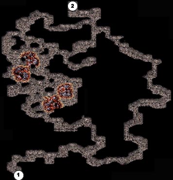 Lethean Catacombs B1, B2, B3