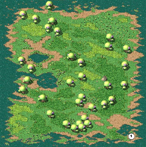 Tulip Island